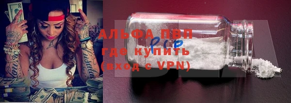 ПСИЛОЦИБИНОВЫЕ ГРИБЫ Каменка