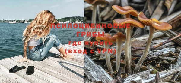 соль курить ск Каменногорск