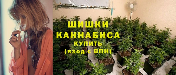ПСИЛОЦИБИНОВЫЕ ГРИБЫ Каменка