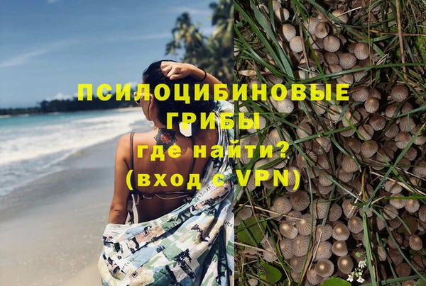 ПСИЛОЦИБИНОВЫЕ ГРИБЫ Каменка