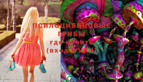 ПСИЛОЦИБИНОВЫЕ ГРИБЫ Каменка