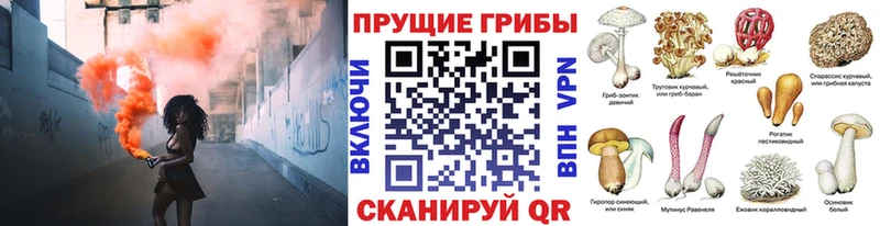 Галлюциногенные грибы ЛСД Людиново